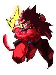 vegetto from dragon ball