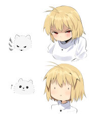 arcueid brunestud from tsukihime