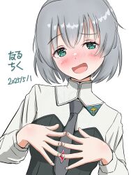 strike witches fan art