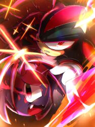 shadow the hedgehog from sonic (series)