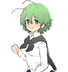 wriggle nightbug from touhou