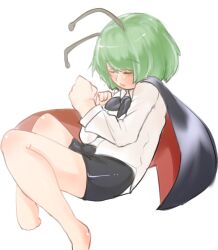 wriggle nightbug from touhou