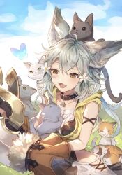 sen (granblue fantasy) from granblue fantasy