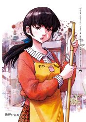 otonashi kyouko from maison ikkoku