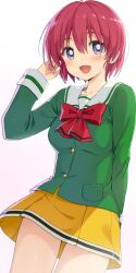 hinomoto hikari from tokimeki memorial