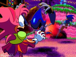 amy rose from sonic (series)