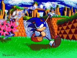 sonic the hedgehog from sonic (series)