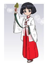 sono midoriko from girls und panzer