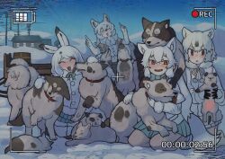 arctic fox (kemono friends) from kemono friends by igarashi (nogiheta)