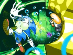 sonic the hedgehog from sonic (series)
