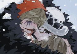 donquixote rocinante from one piece