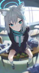 shiroko (blue archive) from blue archive