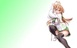 highschool of the dead fan art