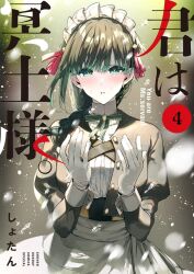 Booru post from safebooru.org