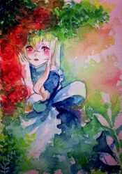 kozakura marry from kagerou project