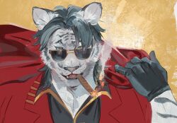 limbus company fan art