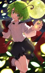 wriggle nightbug from touhou by fuji tarawi