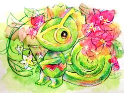 kecleon from pokemon by non (kumakawayusu)