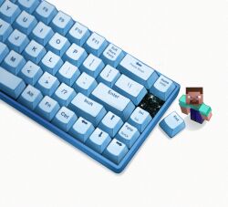 steve (minecraft) from minecraft