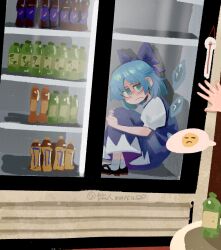 cirno from touhou