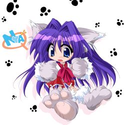 minase nayuki from kanon by kizuki erika