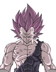 vegeta from dragon ball
