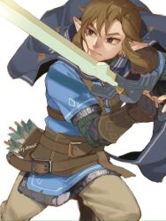 link from the legend of zelda by ivy (sena0119)