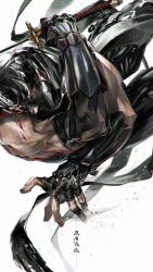 ryu hayabusa from ninja gaiden