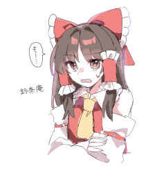 hakurei reimu from touhou by hidukihumi