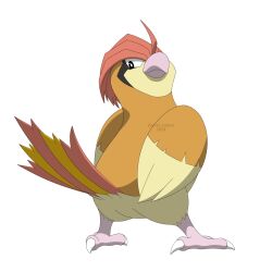 pidgeotto from pokemon