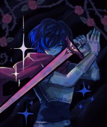 kris (dark world) (deltarune) from deltarune by kannonkaza
