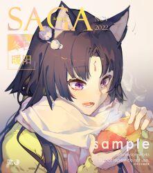 saga (arknights) from arknights
