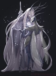 hollow knight fan art