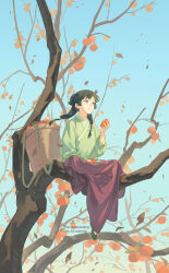 maomao (kusuriya no hitorigoto) from kusuriya no hitorigoto by tsubsa syaoin