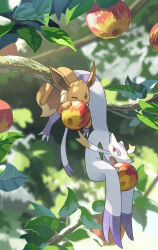 eevee from pokemon