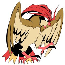 pidgeotto from pokemon