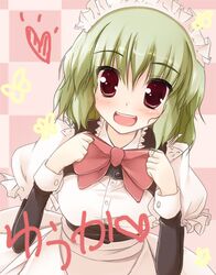 kazami yuuka from touhou by pilky