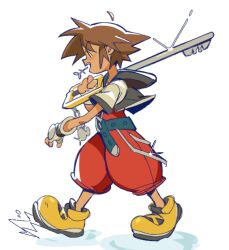 sora (kingdom hearts) from kingdom hearts