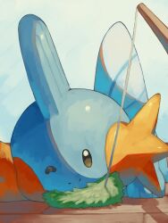 mudkip from pokemon by p9kfxaofqi54546