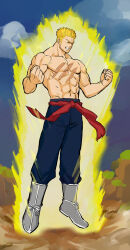 dragon ball fan art