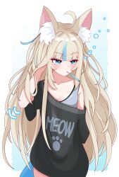 sameko saba from indie virtual youtuber
