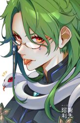 baizhu (genshin impact) from genshin impact