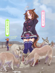 meisho doto (umamusume) from umamusume by ugai yuichi