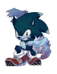 sonic the hedgehog from sonic (series)
