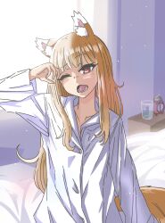 holo from spice and wolf