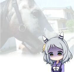 hishi miracle (umamusume) from real life