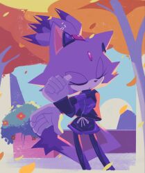 blaze the cat from sonic (series)