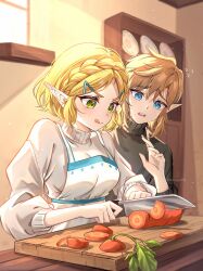 link from the legend of zelda