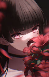 chisa (wuthering waves) from wuthering waves