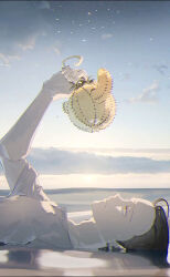 crocodile (one piece) from one piece